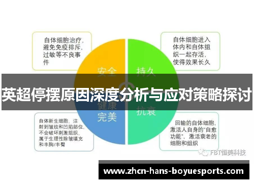 英超停摆原因深度分析与应对策略探讨