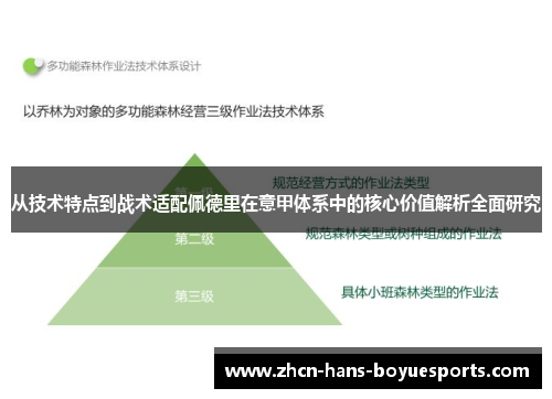 从技术特点到战术适配佩德里在意甲体系中的核心价值解析全面研究